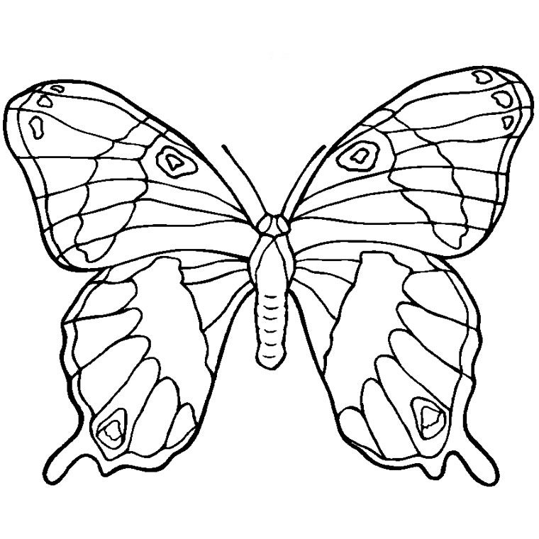 Coloring page: Butterfly Mandalas (Mandalas) #117396 - Free Printable Coloring Pages