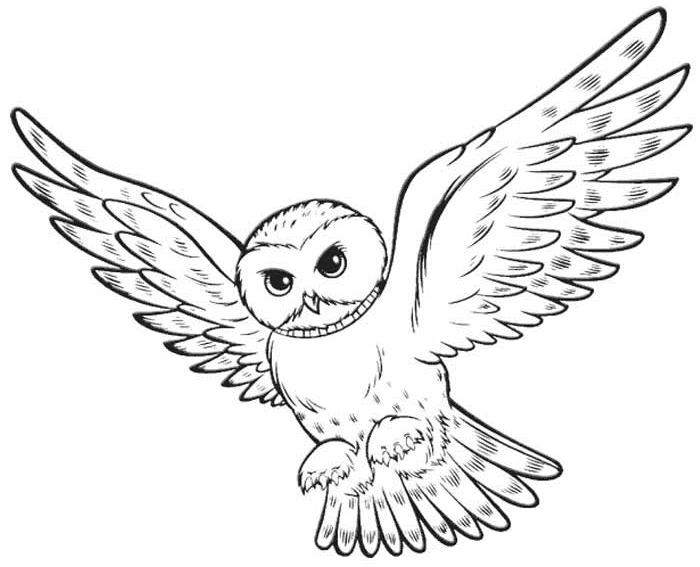 Coloring page: Harry Potter (Movies) #69704 - Printable coloring pages