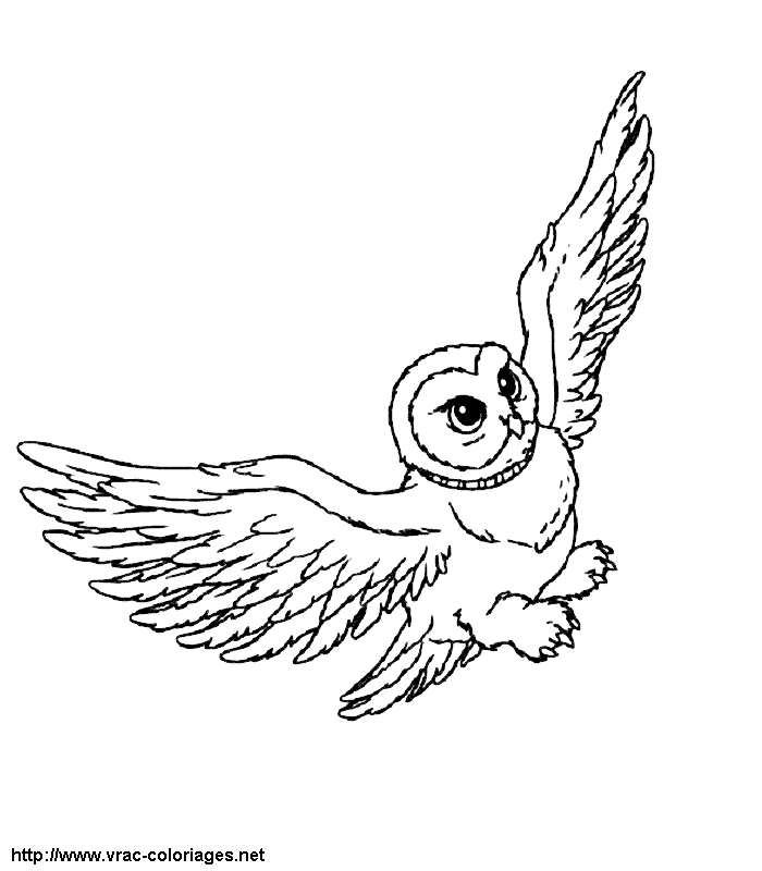 Coloring page: Harry Potter (Movies) #69812 - Free Printable Coloring Pages