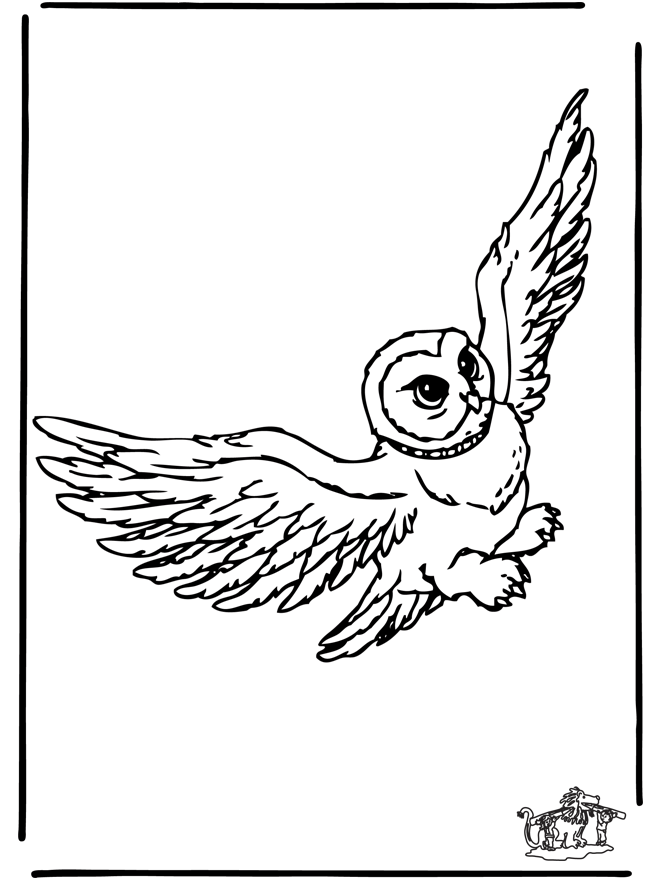Coloring page: Harry Potter (Movies) #69851 - Free Printable Coloring Pages
