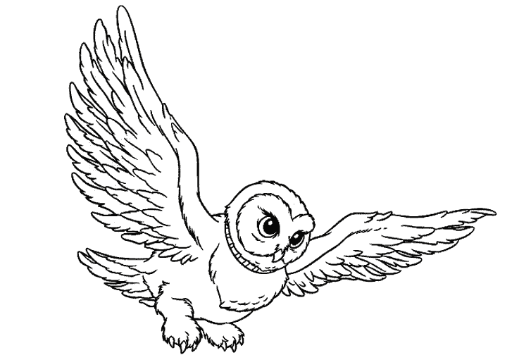 Coloring page: Harry Potter (Movies) #69895 - Free Printable Coloring Pages