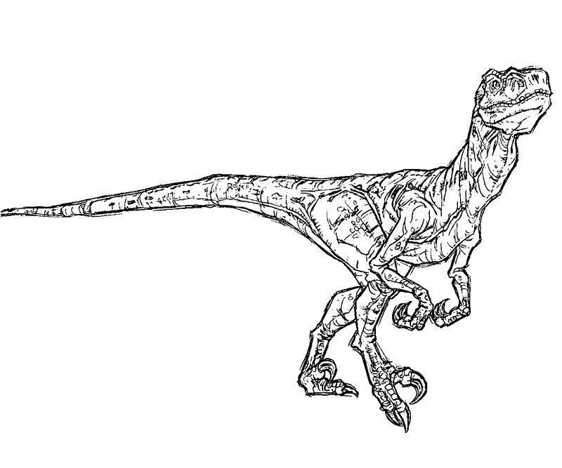 drawing jurassic park 15889 movies printable coloring pages