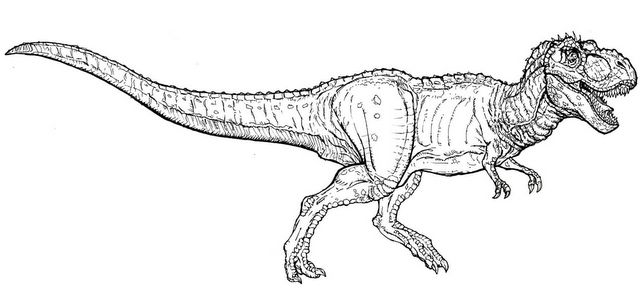 Featured image of post Tiranosaurio Rex Jurassic World Dibujo See more of tiranosaurio rex on facebook