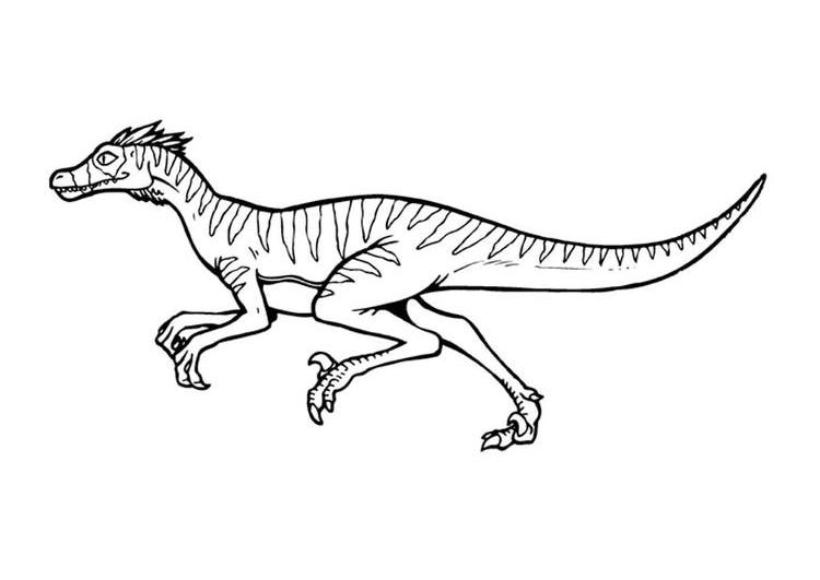 Coloring page: Jurassic Park (Movies) #15952 - Printable coloring pages