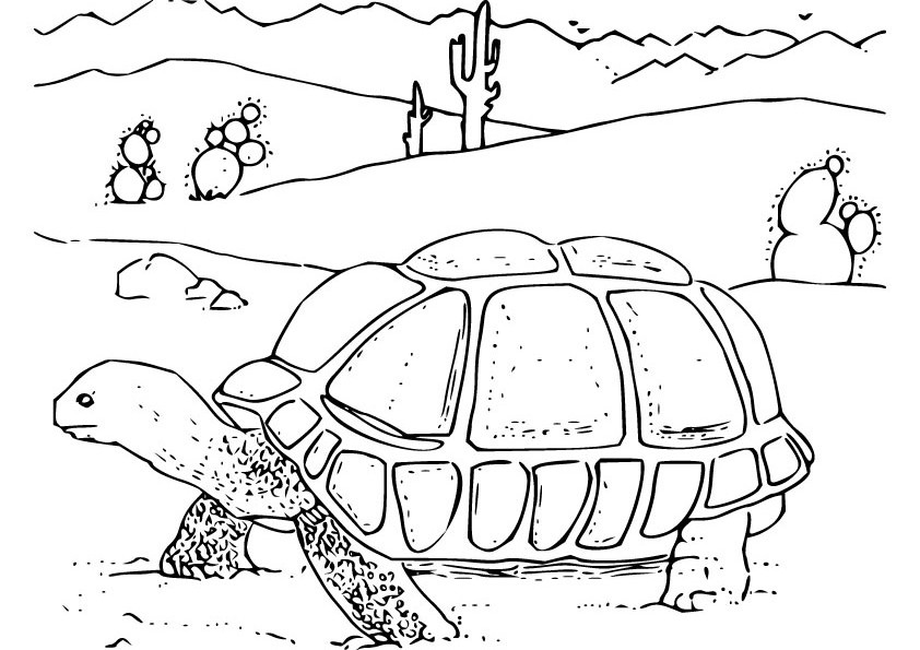 Coloring page: Star Trek (Movies) #70421 - Free Printable Coloring Pages
