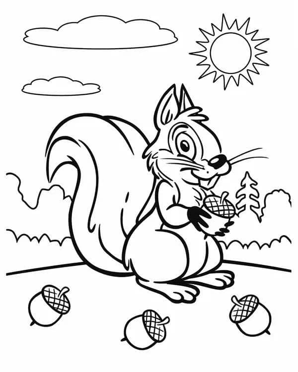 Free printable Acorn coloring page #218501 from Nature and Seasons collection Free printable Acorn coloring page #218501 from Nature and Seasons collection