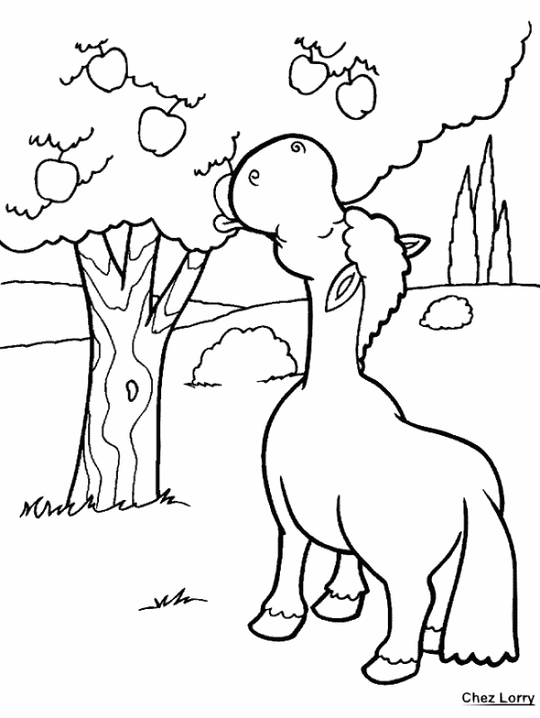 Free printable Apple tree coloring page #163454 from Nature and Seasons collection