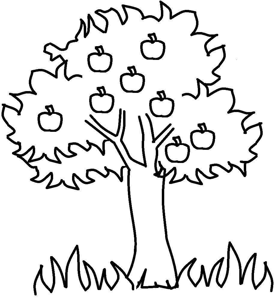 Free printable Apple tree coloring page #163457 from Nature and Seasons collection Free printable Apple tree coloring page #163457 from Nature and Seasons collection