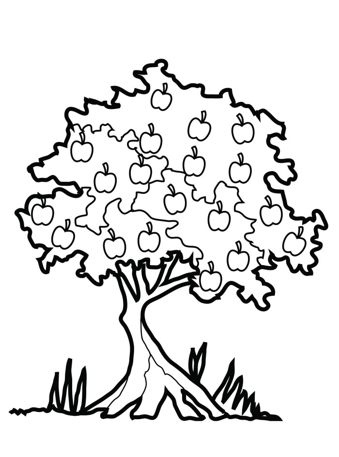 Free printable Apple tree coloring page #163740 from Nature and Seasons collection