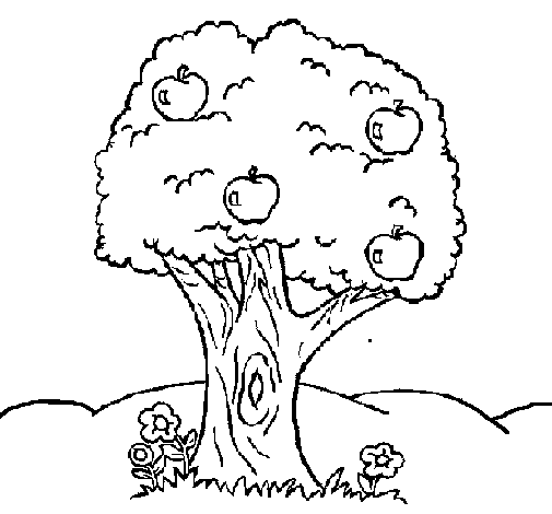 Free printable Apple tree coloring page #163757 from Nature and Seasons collection