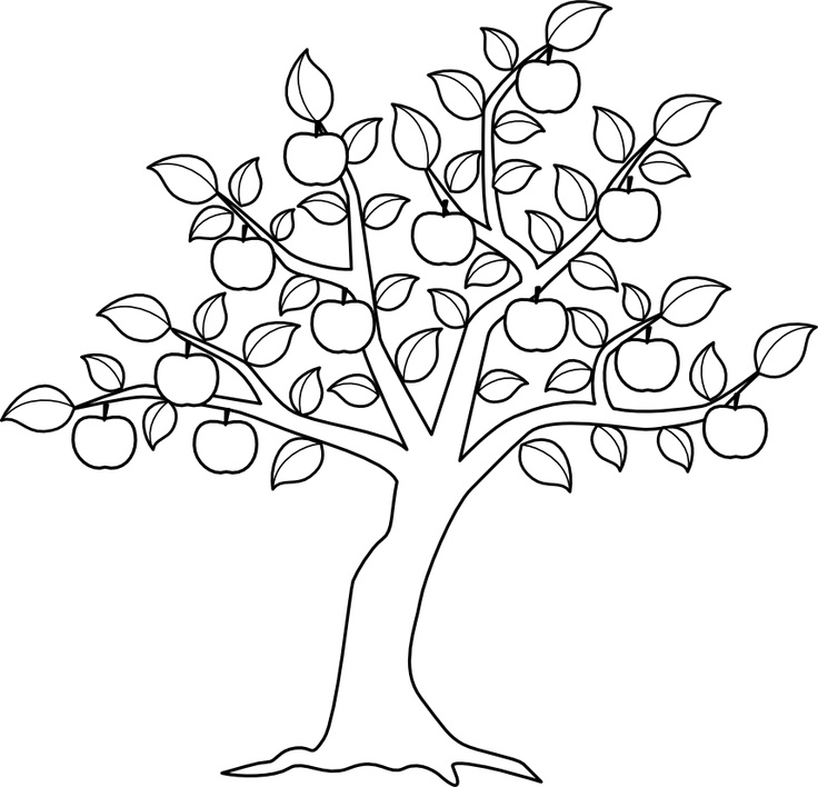 Free printable Apple tree coloring page #163762 from Nature and Seasons collection Free printable Apple tree coloring page #163762 from Nature and Seasons collection