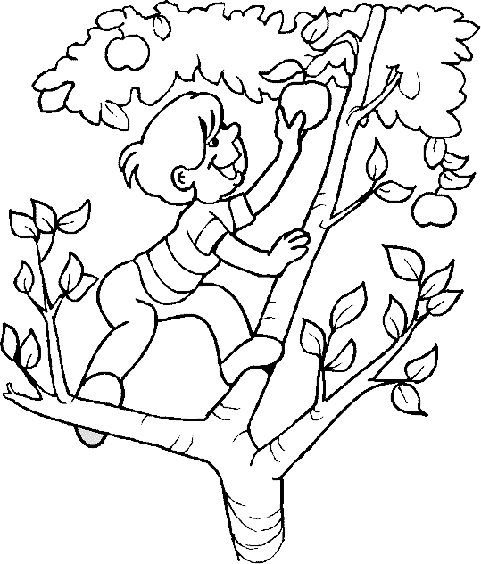 Free printable Apple tree coloring page #163768 from Nature and Seasons collection Free printable Apple tree coloring page #163768 from Nature and Seasons collection