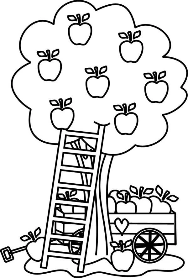 Free printable Apple tree coloring page #163775 from Nature and Seasons collection