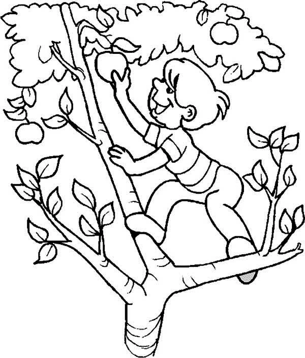 Free printable Apple tree coloring page #163793 from Nature and Seasons collection