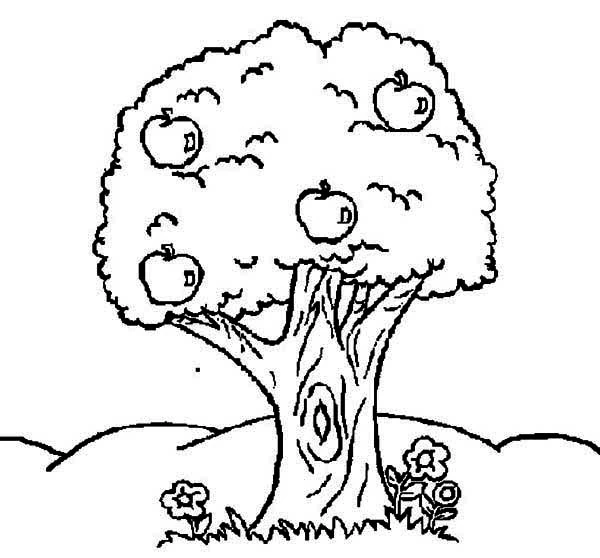 Free printable Apple tree coloring page #163794 from Nature and Seasons collection Free printable Apple tree coloring page #163794 from Nature and Seasons collection
