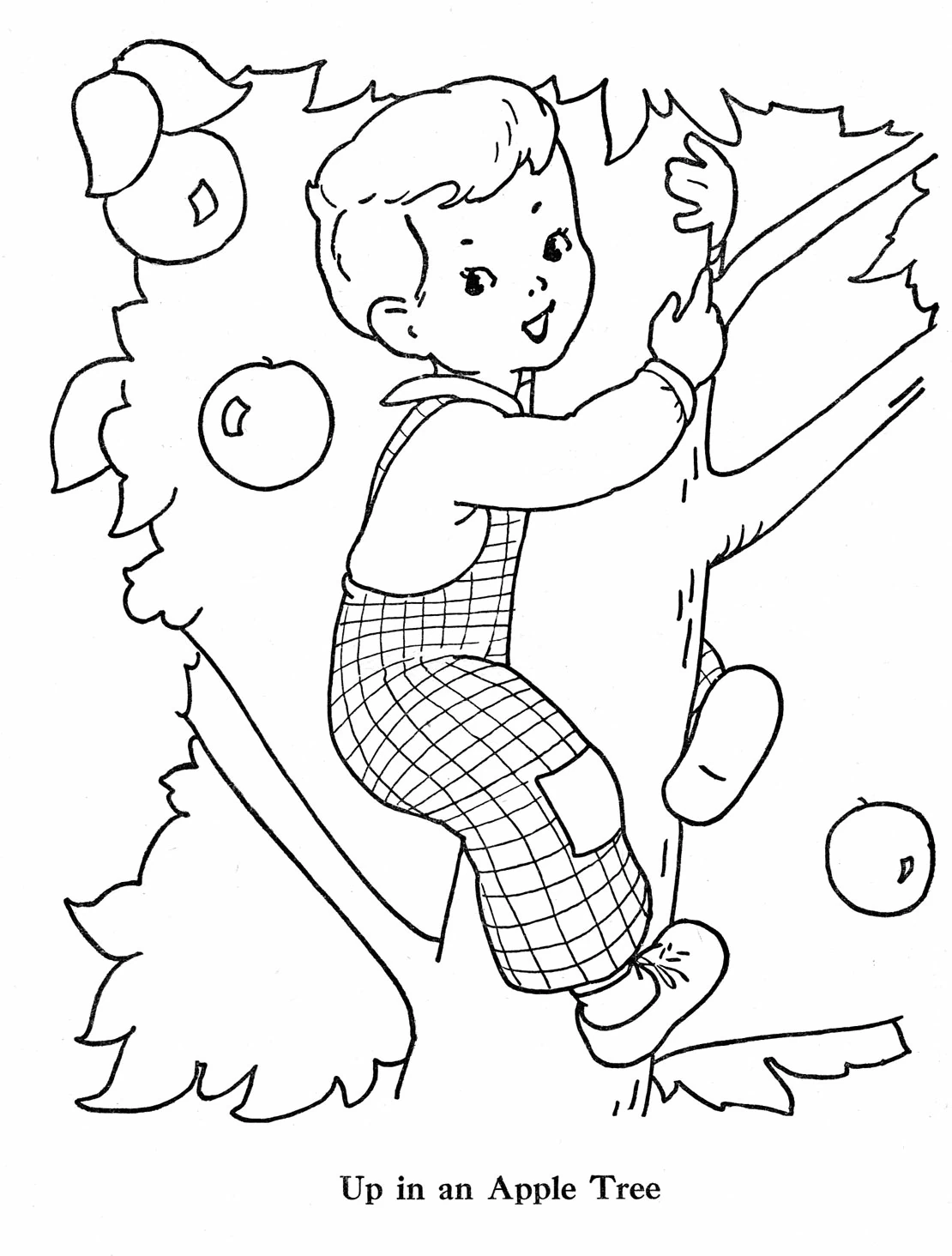 Free printable Apple tree coloring page #163795 from Nature and Seasons collection Free printable Apple tree coloring page #163795 from Nature and Seasons collection