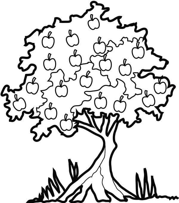 Coloring page: Apple tree (Nature and Seasons) #163846 - Free Printable Coloring Pages