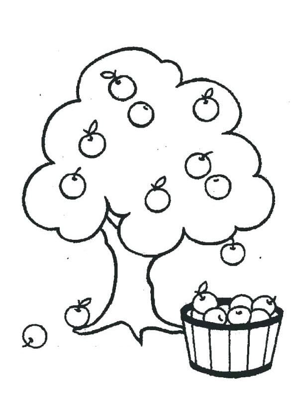 Free printable Apple tree coloring page #174083 from Nature and Seasons collection Free printable Apple tree coloring page #174083 from Nature and Seasons collection
