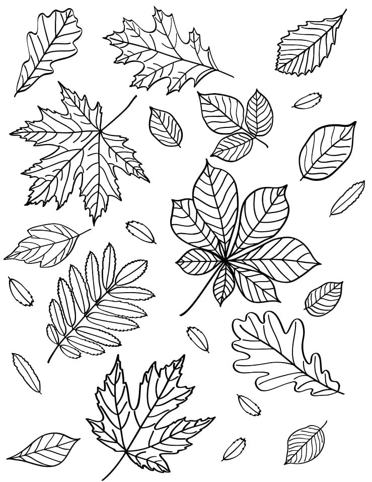 Free printable Autumn Season coloring page #176754 from Nature and Seasons collection