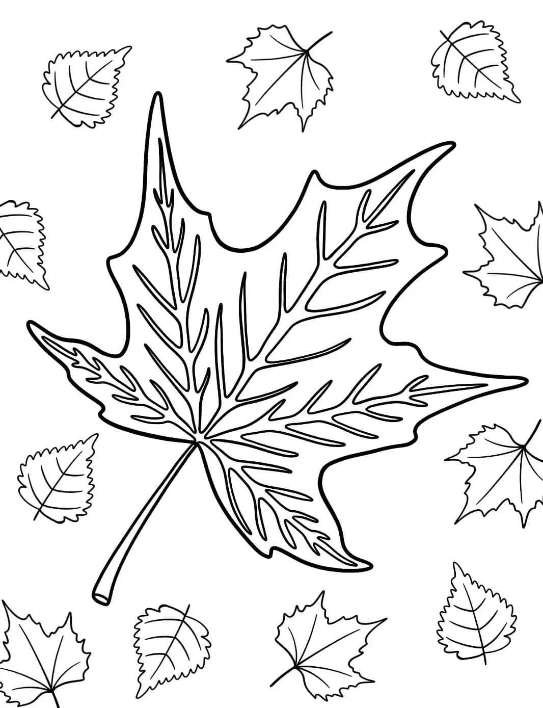 Free printable Autumn Season coloring page #218742 from Nature and Seasons collection