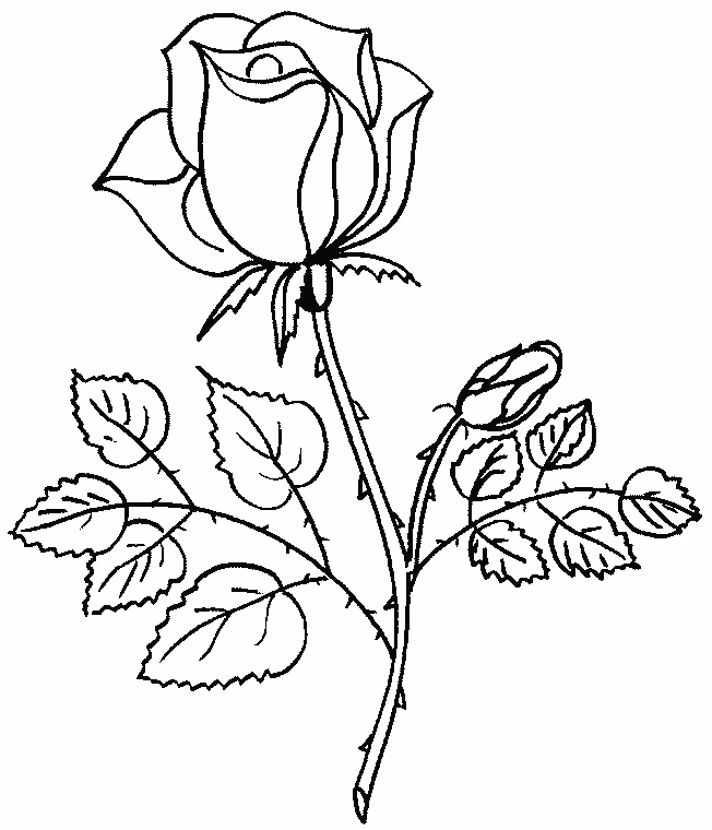 Free printable Bouquet of flowers coloring page #160736 from Nature and Seasons collection Free printable Bouquet of flowers coloring page #160736 from Nature and Seasons collection