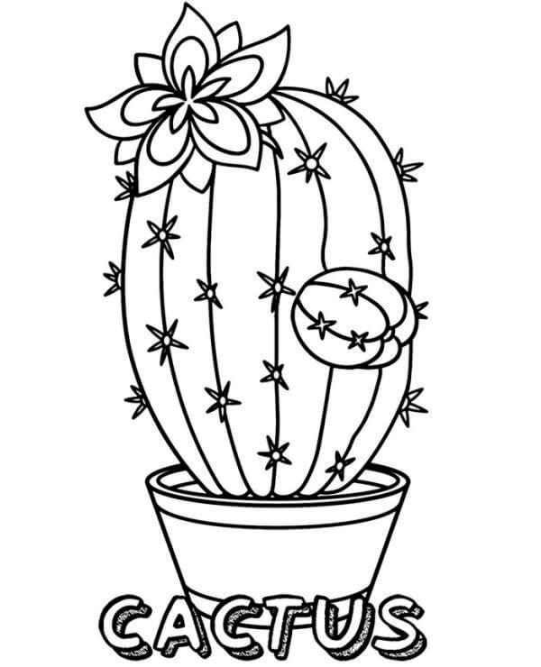 Coloring page: Cactus (Nature and Seasons) #170825 - Free Printable Coloring Pages