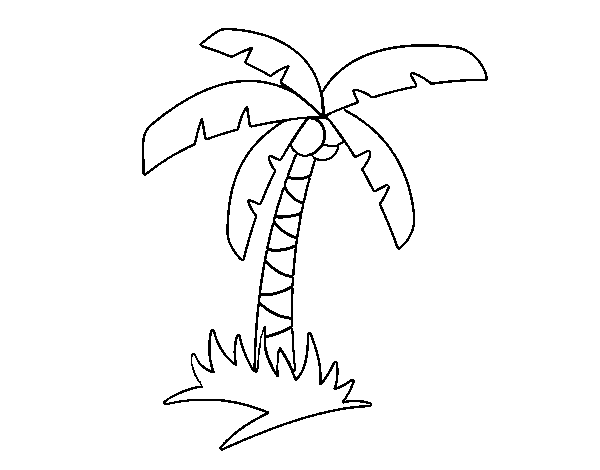 Coloring page: Coconut tree (Nature and Seasons) #162137 - Free Printable Coloring Pages