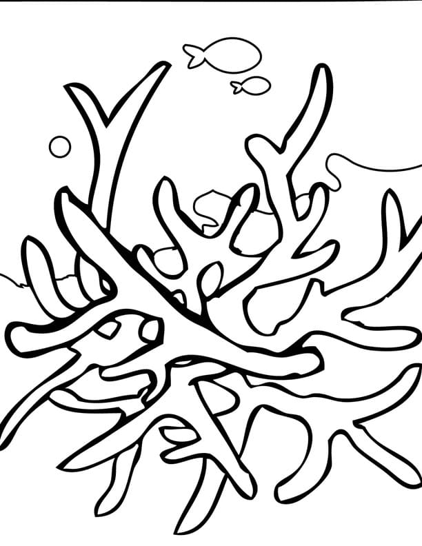 Free printable Coral coloring page #210311 from Nature and Seasons collection