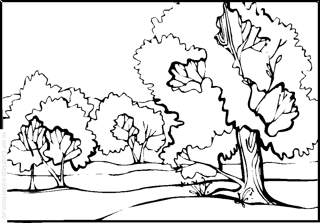 Free printable Countryside coloring page #165517 from Nature and Seasons collection