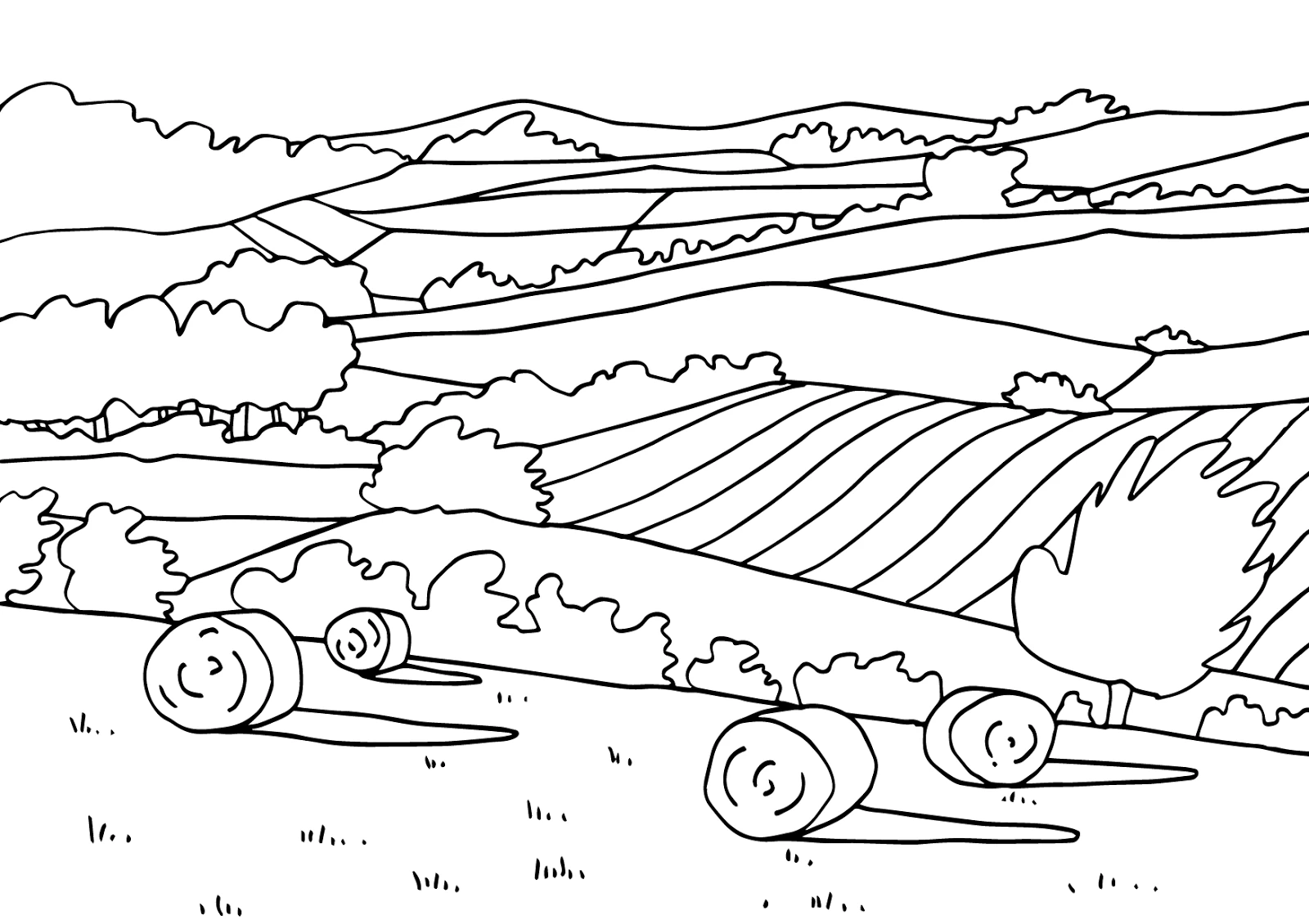 Free printable Countryside coloring page #165520 from Nature and Seasons collection