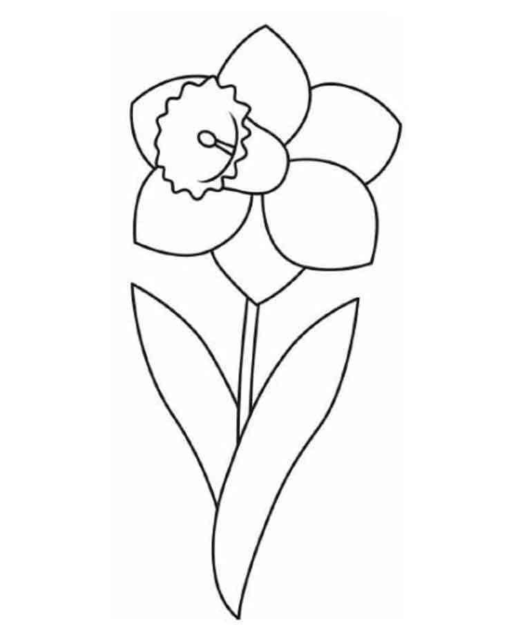 Coloring page: Daffodil (Nature and Seasons) #189951 - Free Printable Coloring Pages