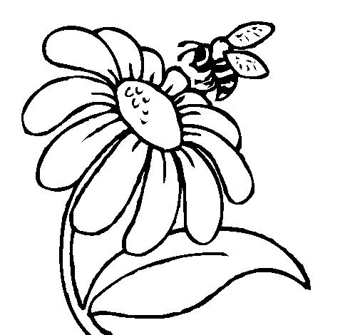 Coloring page: Daisy (Nature and Seasons) #161369 - Free Printable Coloring Pages