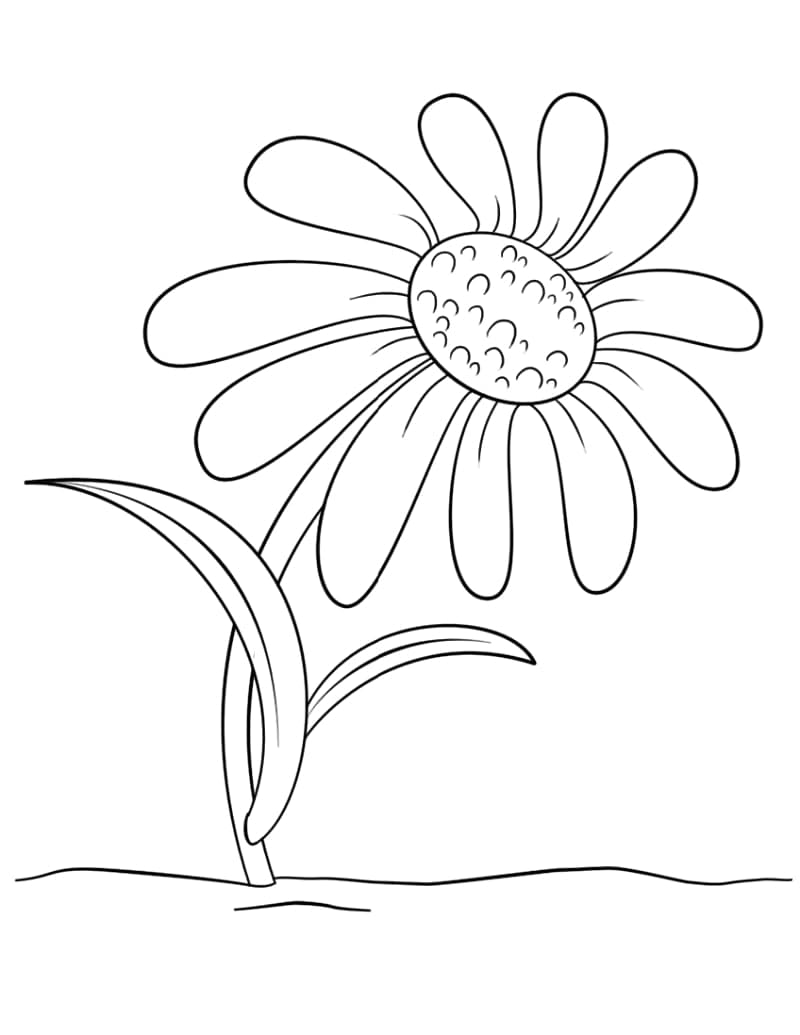 Free printable Daisy coloring page #176551 from Nature and Seasons collection