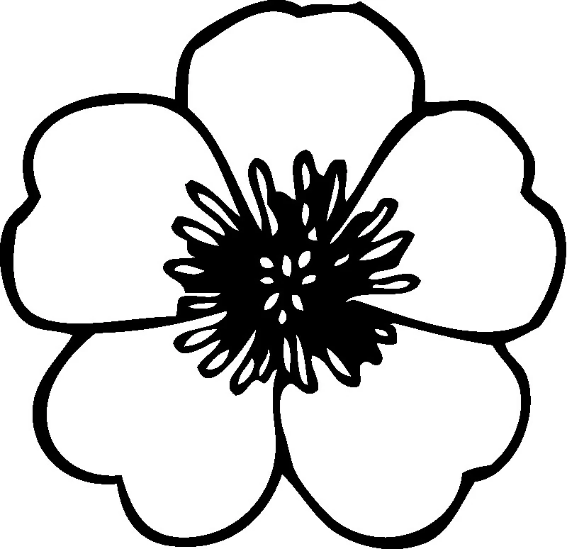 Free printable Flowers coloring page #154977 from Nature and Seasons collection