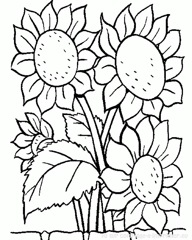 Free printable Flowers coloring page #155000 from Nature and Seasons collection
