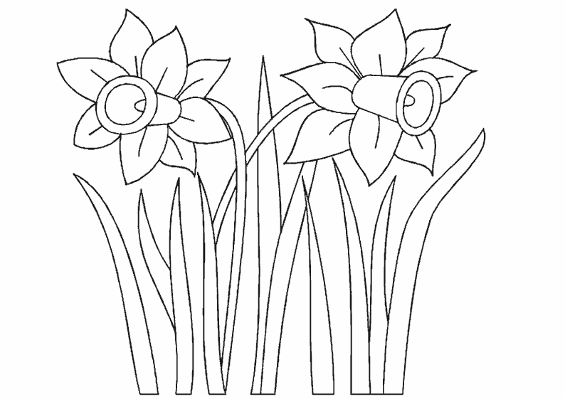 Free printable Flowers coloring page #155167 from Nature and Seasons collection