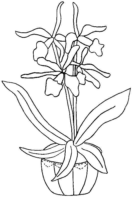 Free printable Flowers coloring page #155251 from Nature and Seasons collection