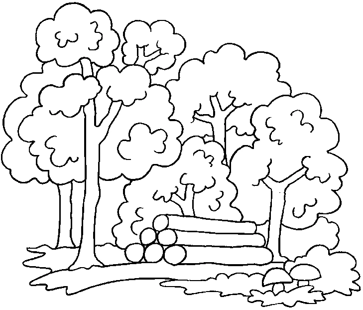 Coloring page: Forest (Nature and Seasons) #157001 - Free Printable Coloring Pages