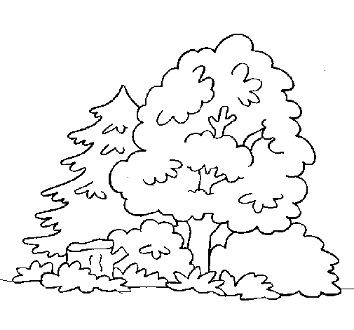 Free printable Forest coloring page #157044 from Nature and Seasons collection