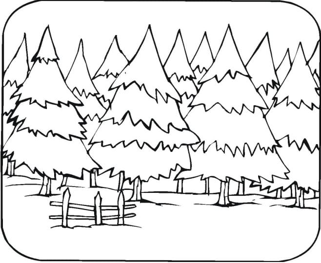 Free printable Forest coloring page #191244 from Nature and Seasons collection Free printable Forest coloring page #191244 from Nature and Seasons collection