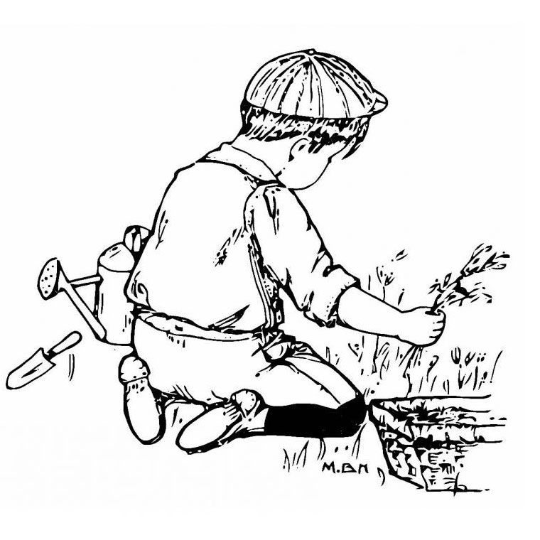 Free printable Garden coloring page #166335 from Nature and Seasons collection