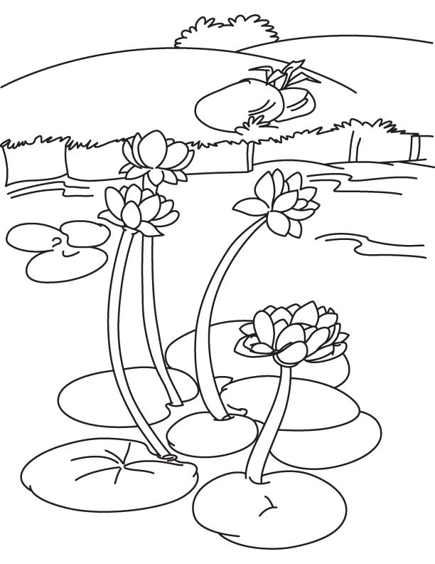 Coloring page: Lake (Nature and Seasons) #166094 - Free Printable Coloring Pages