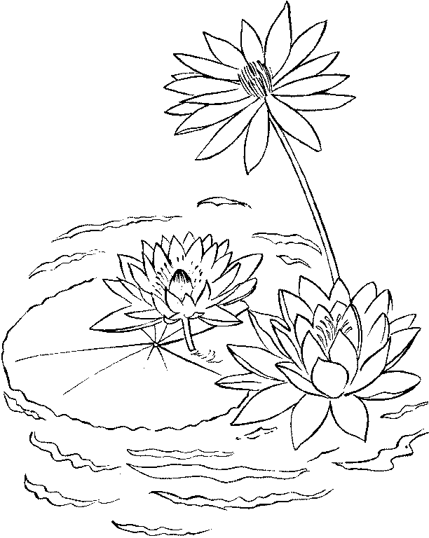 Free printable Lake coloring page #166200 from Nature and Seasons collection
