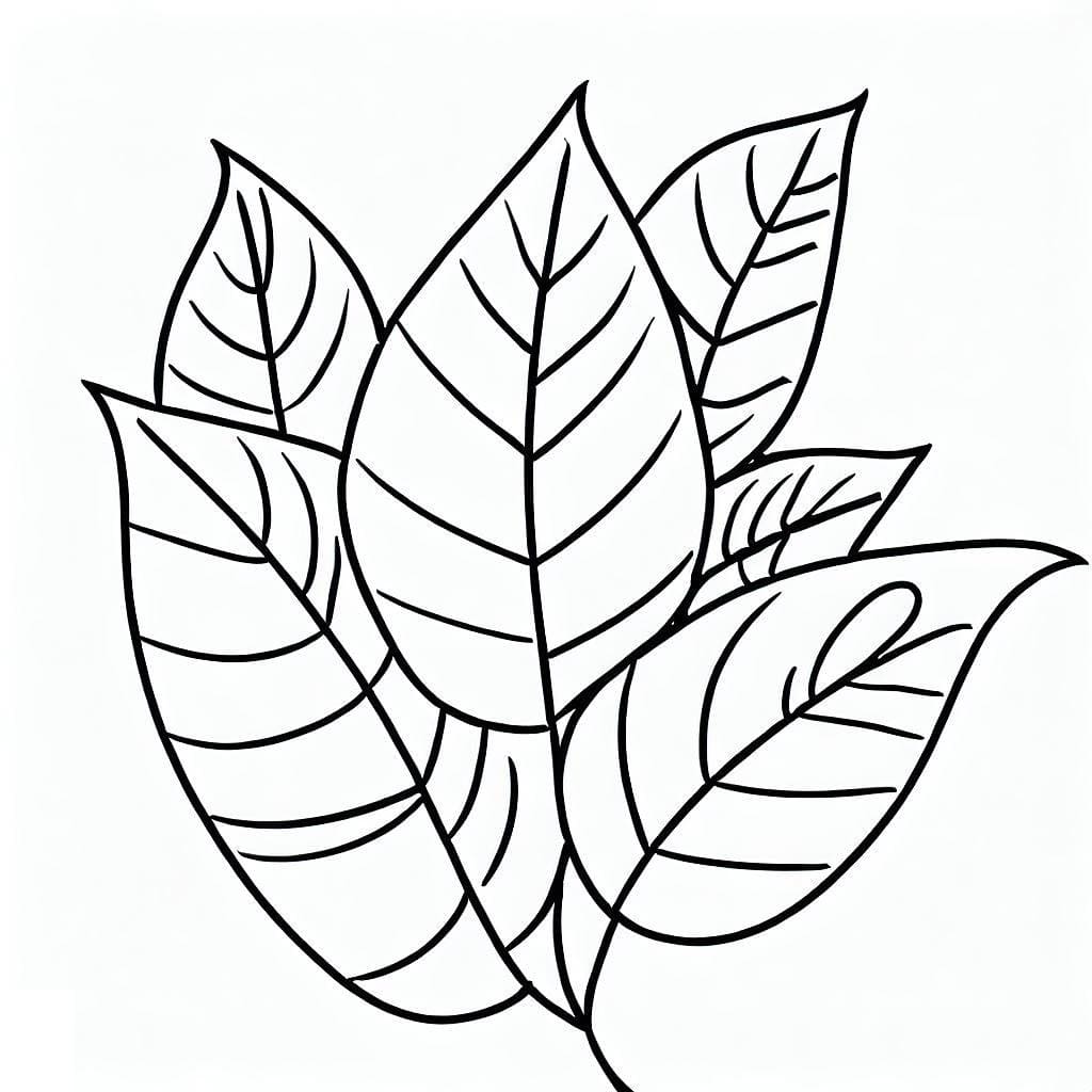 Free printable Leaf coloring page #191813 from Nature and Seasons collection