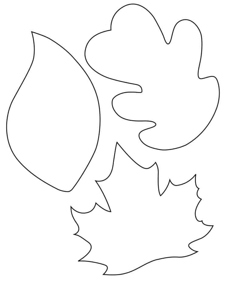 Free printable Leaf coloring page #191816 from Nature and Seasons collection Free printable Leaf coloring page #191816 from Nature and Seasons collection