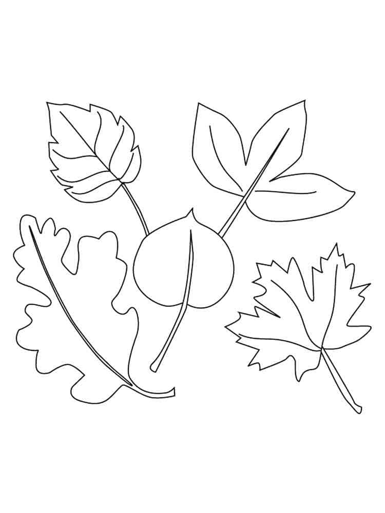Free printable Leaf coloring page #191829 from Nature and Seasons collection