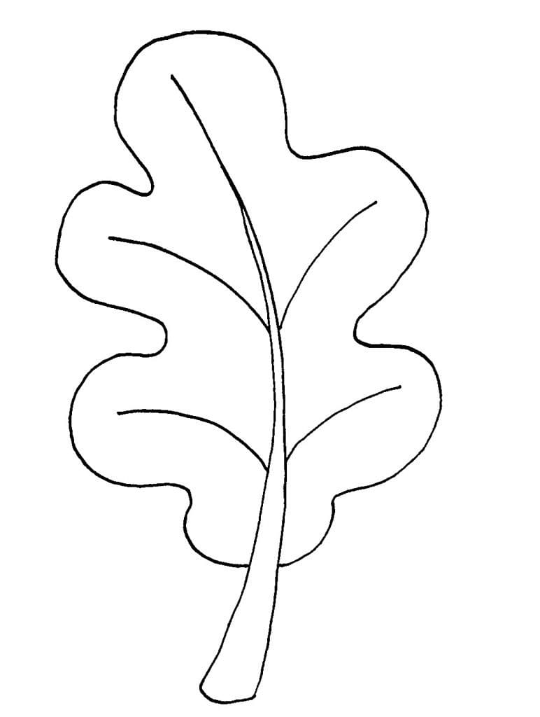 Free printable Leaf coloring page #191843 from Nature and Seasons collection