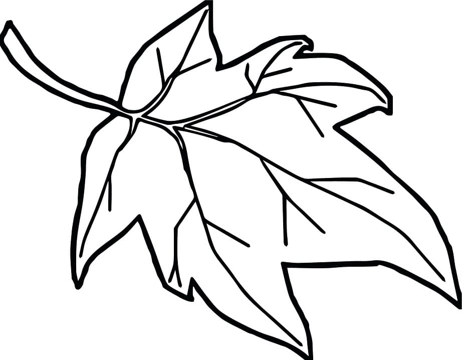 Free printable Maple Leaf coloring page #190250 from Nature and Seasons collection