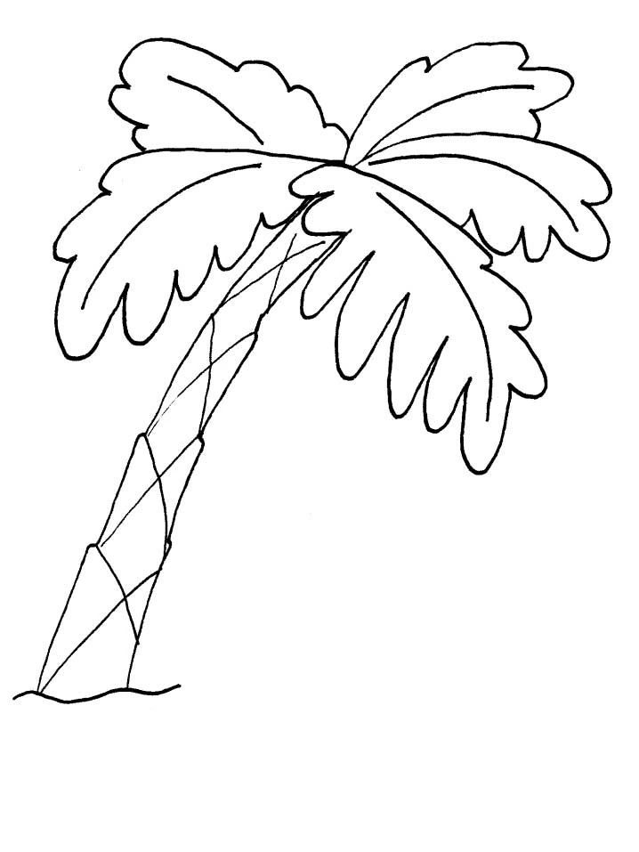 Coloring page: Palm tree (Nature and Seasons) #161116 - Free Printable Coloring Pages
