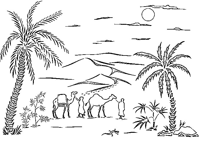 Coloring page: Palm tree (Nature and Seasons) #161118 - Free Printable Coloring Pages